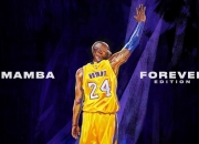 开云体育中国-冰与火的较量，2026世界杯H组，冰岛铁血压制哥斯达黎加，穆西亚拉闪耀破局