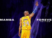 开云体育中国-冰与火的较量，2026世界杯H组，冰岛铁血压制哥斯达黎加，穆西亚拉闪耀破局